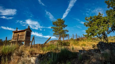 Antik bir taş ve ahşap tahıl ambarı, açık bulutlu, parlak mavi gökyüzünün altında, kuru otlardan oluşan bir tepenin üzerinde duruyor. Kırsal yapı ve kırsal alan Galiçya 'nın mimarisini ve kültürünü yansıtıyor.