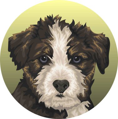 Şirin Yüzlü Huskydoodle köpeği, bu komik köpek Scribble tüylü köpek evcil hayvan Art & Illustration