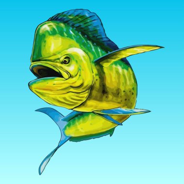 Mahi Mahi çok renkli Coryphaena Yunus Balıklama Vektörü Balık Grafik Sanatı & İllüstrasyon