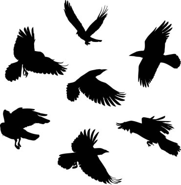 Uçan kargalardan oluşan siluetler siyah ikon kuş resimleri ve vektörler.
