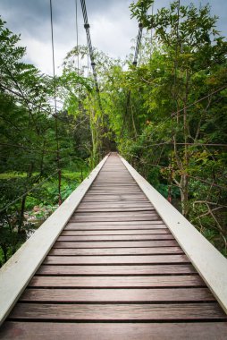 Tayland 'daki tropikal ormanda nehir üzerinde asılı köprü.