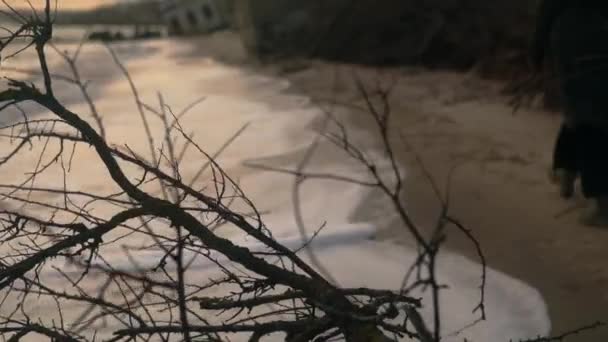 乾いた壊れた裸の木の枝は 砂浜の海岸線で波のサーフィンで洗浄し 孤独な女性が背景に歩いています 抽象的なうつ病 内側の感情と痛み 劇的な概念的な映像 — ストック動画