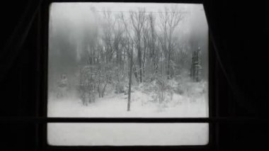 Pov tren penceresi görüntüsü. Karlı, donmuş ormanlarda, kışın soğuk kırsal alanlarda, karda ve buzda ilerliyor..