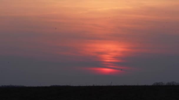 夕阳西下 夕阳西下 在粉红的天空中观赏自然的落日 亮橙色的大太阳下山了 美丽的天空 漆黑的地平线 优质Fullhd影片 — 图库视频影像