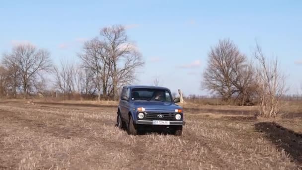 Teherautó Száguld Eke Mezőn Terepjárók Felszántott Réten Haladnak Kék Autó — Stock videók