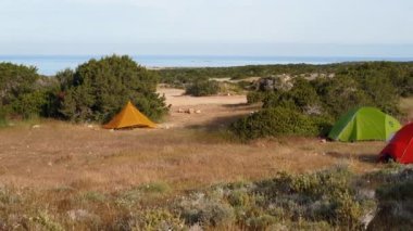 Tent camping group of tourists in the mountains at sunrise. Tourist camp in a meadow surrounded by green trees. Camp in the mountains during sunrise, aerial view. High quality 4k footage
