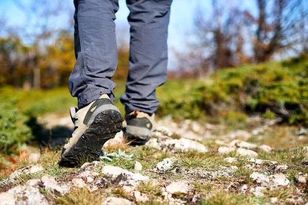Legs of a hiker in trekking boots walking in mountains closeup shot. Feet of walking tourist wearing trekking shoes on a rocky road captured from behind. Hiking male wearing pants and boots walk