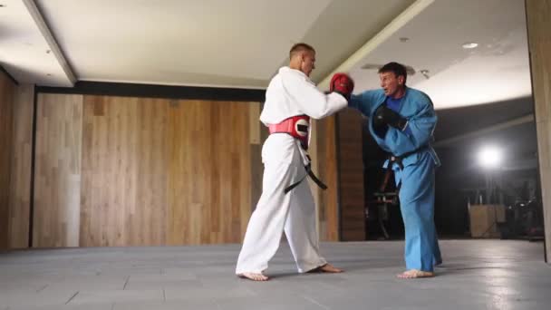 Two Martial Arts Men Kimonos Gloves Practicing Kicks Punches Male — Vídeos de Stock