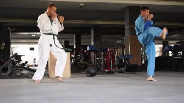 Martial Arts Men Kimonos Practice Kicks Punches Male Fighters Wearing — Vídeo de Stock