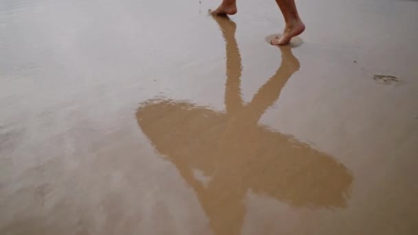 Reflection Legs Feet Fit Female Surfer Bikini Carrying Surfboard Walking — Vídeo de Stock