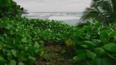 Breathtaking scenic view of ocean from picturesque green hill covered with plants. Calm remote healing place for self reflexion and meditation by ocean. Serene soothing spot with wonderful sea view