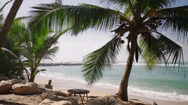 Inspiring tropical ocean view with beach, palm trees and wave running on shore in background. Tropical yellow sandy beach in sunny weather with palms in foreground. Soothing ocean landscape background