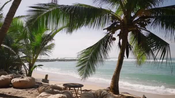 Inspiring Tropical Ocean View Beach Palm Trees Wave Running Shore — Vídeo de Stock