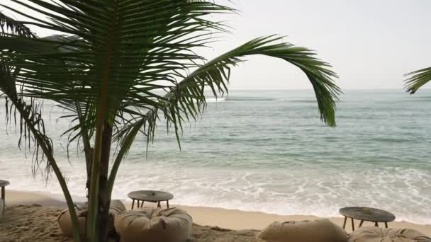 Ocean View Waves Running Green Palm Trees Boho Style Cafe — Vídeo de Stock
