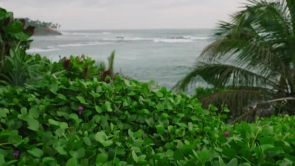 Breathtaking Scenic View Ocean Picturesque Green Hill Covered Plants Calm — Wideo stockowe