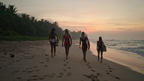서핑하는 애들은 해변을 걸어요 서퍼들 파도타기를 암컷들은 새벽에 대양을 해변을 — 비디오