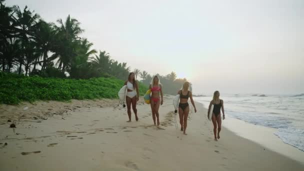 Meninas Surfistas Felizes Multiétnicas Andando Longo Praia Nascer Sol Surfistas — Vídeo de Stock
