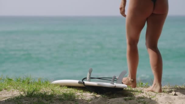 Дівчина Серфер Носить Гідрокостюм Збирає Дошку Серфінгу Пляжі Готуючись Серфінгу — стокове відео