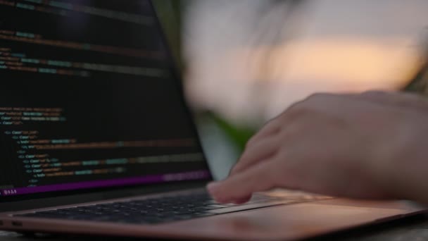 Entwicklerinnen Arbeiten Laptop Auf Hoher See Junge Freiberuflerin Codiert Tropischen — Stockvideo
