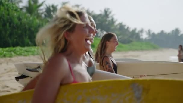 Vrolijke Vrouwelijke Surfers Bikini Die Surfplanken Dragen Die Zonnige Dag — Stockvideo