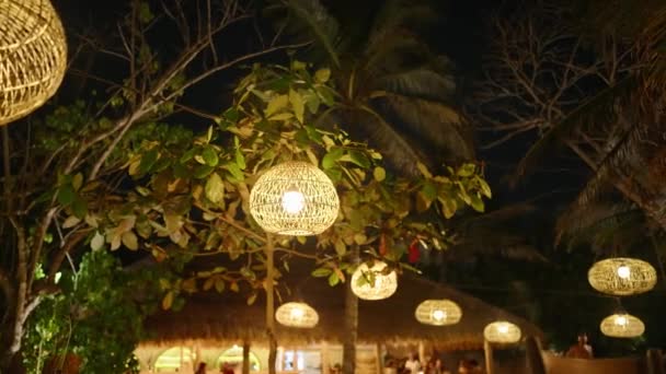Geceleri Ağaçlardan Sarkan Hasır Lambaları Tropikal Arka Planda Süsleme Olarak — Stok video