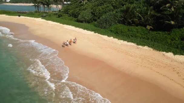 Aerial Shot Female Surfers Shadows Walking Beach Carrying Surfboards Surfer — Stock Video