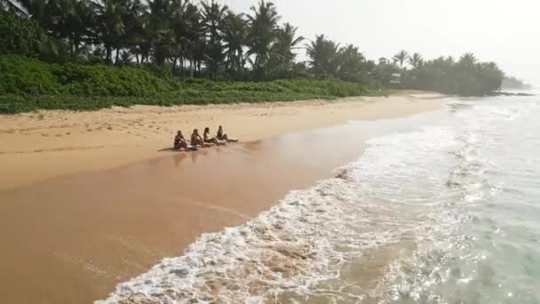 Aerial View Women Sitting Tropical Beach Surfboards Surfer Girls Laying — Stock Video