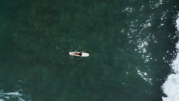 Jonge Vrouwelijke Surfer Roeien Surfplank Kristalhelder Oceaanwater Schilderachtig Tropisch Strand — Stockvideo