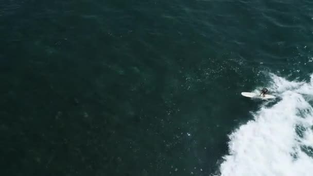 Unga Kvinnliga Surfare Ristar Liten Mörkgrön Brytande Våg Sri Lankas — Stockvideo