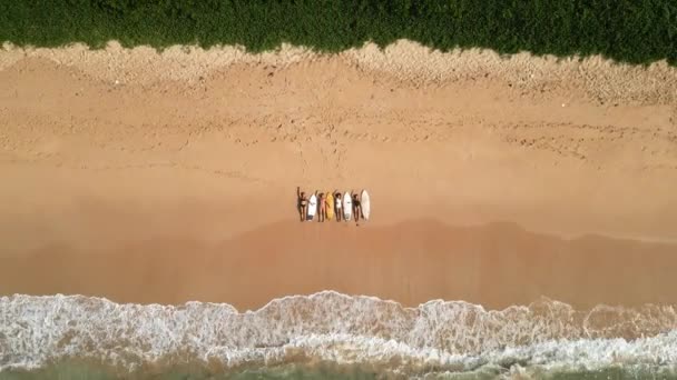 Widok Lotu Ptaka Kobiet Leżących Tropikalnej Plaży Deskami Surfingowymi Surferek — Wideo stockowe