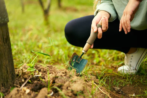 Küçük bahçe küreğini tutan kadın eller. Çiftçi kadın bahçede oturmuş trovel ile toprağı kazıyor ve yakından ateş ediyor. Meyve bahçesindeki genç bahçıvan. Çiftçilik ve bahçecilik kavramı.
