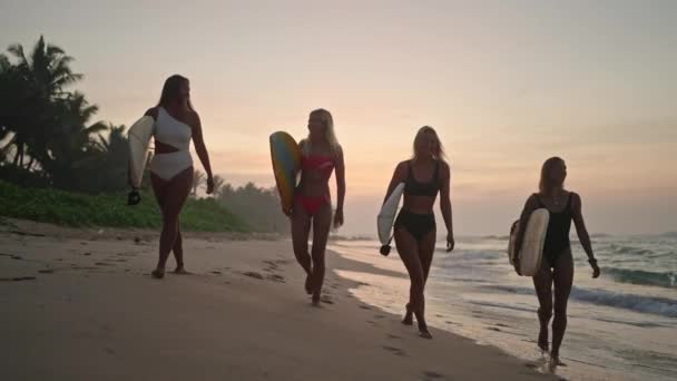 Surfeuses Marchant Long Plage Lever Soleil Surfeuses Portant Des Planches — Video
