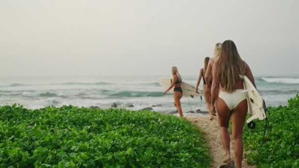 多种族冲浪女孩走在明亮的绿色丛林里 在日出时回望大海 多种族的女冲浪者带着冲浪板在黎明时分穿过植物漂洋过海 女冲浪者 — 图库视频影像