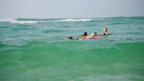 Les Jeunes Femmes Multiraciales Surfent Sur Des Planches Surf Chevauchent — Video