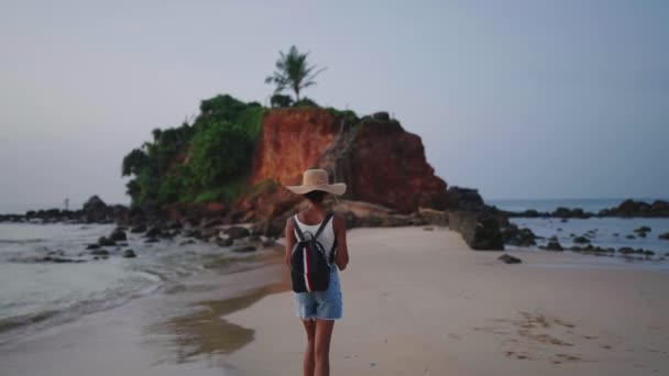 Femme Afro Américaine Randonnée Avec Sac Dos Sur Une Île — Video