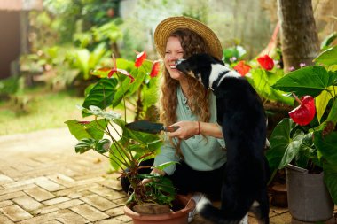 Genç, mutlu bir kadın köpekle sarılıp oynuyor. Beyaz kadın bahçıvan hasır şapka takıyor çiçek dikiyor ve evcil hayvanıyla gülen saksı bitkileriyle ilgileniyor. Bahçe konsepti