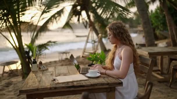 Mulher Comerciante Criptomoeda Laptop Verifica Gráficos Line Trabalhando Remotamente Café — Vídeo de Stock