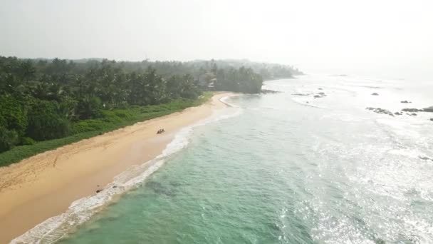 Widok Powietrza Kobiety Siedzące Tropikalnej Plaży Deskami Surfingowymi Surferki Leżące — Wideo stockowe