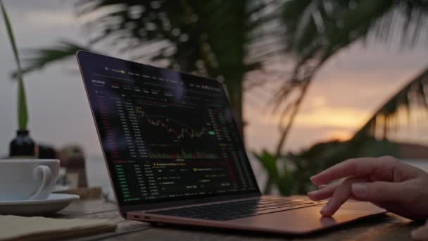 Vrouwelijke Cryptogeld Handelaar Laptop Controleert Kandelaar Grafieken Online Werkt Afstand — Stockvideo
