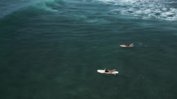 Unge Kvinnelige Surfere Ror Surfebrett Krystallvann Vakre Tropiske Strender Solfylte – stockvideo