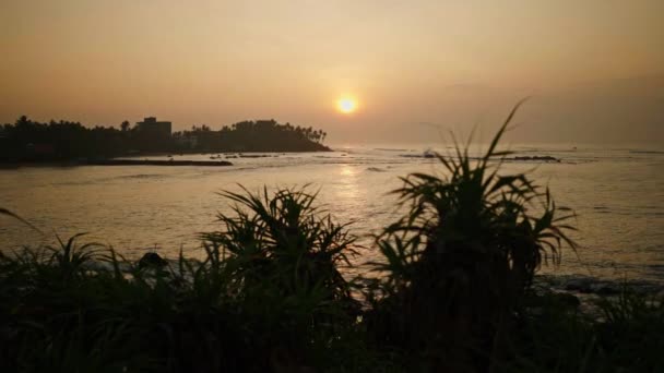 Kokosnoot Palmbomen Bij Zonsopgang Met Oceaan Kustlijn Bekkenbodem Rode Zonsondergang — Stockvideo