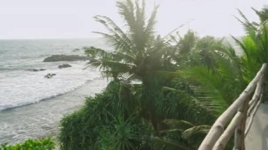 Deniz manzaralı restorandaki çeşitli kadınlar konuşuyor ve kokteyl içiyor. Tropikal kafede oturmuş ellerinde içeceklerle sohbet eden çok ırklı ve neşeli kızlar. Genç çok ırklı kadınlar yemek yiyor.