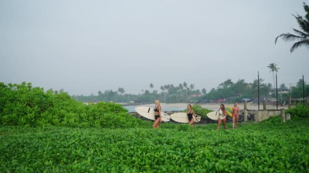 인종으로 구성된 파도타기하는 소녀들이 녹색밀림을 해변으로 파도타기 다종의 파도타기하는 사람들 — 비디오