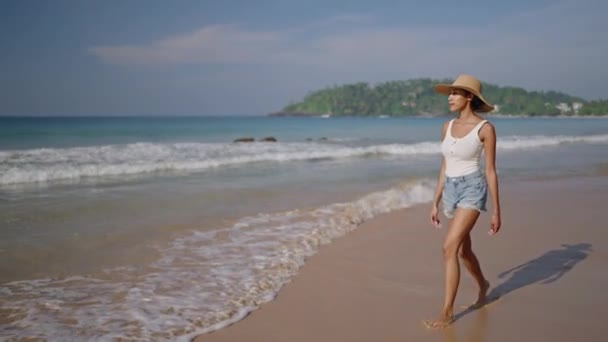Mujer Negra Multiétnica Caminando Playa Del Océano Sus Vacaciones Tropicales — Vídeos de Stock