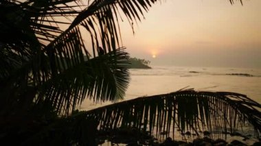 Gün doğumunda hindistan cevizi palmiyesi ağaçları ve kıyı şeridi. Tropikal egzotik adanın plajında palmiye yaprağı silueti olan kızıl günbatımı güneşi. Karanlık gökyüzü. Sri Lanka 'da yaz manzarası.