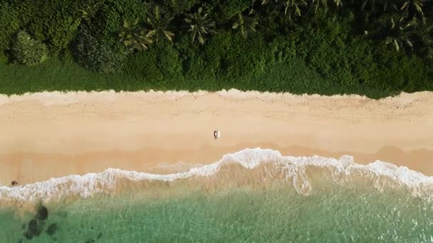 Widok Lotu Ptaka Kobiety Leżącej Plaży Deską Surfingową Surferki Leżącej — Wideo stockowe