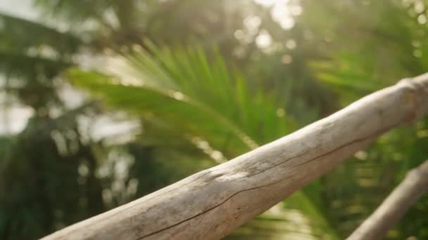 Молодая Женщина Кладет Руки Деревянные Перила Балкона Видом Море Тропическом — стоковое видео