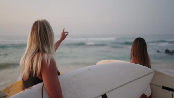 일출무렵 해변에서 파도타기를 소녀들은 파도를 가리키며 파도타기를 새벽에 바다에 파도타기하는 — 비디오