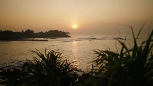 Кокосовые Пальмы Восходе Солнца Береговой Линией Океана Красное Солнце Заката — стоковое видео