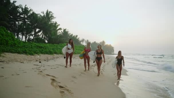 Surfistas Femininas Multirraciais Caminhando Pela Praia Nascer Sol Meninas Surfistas — Vídeo de Stock